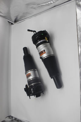 সেরা অটো পার্টস এয়ার সাসপেনশন অডি A8 D4 4H 4G 4H6616039 4H6616040 এর জন্য শক শোষক