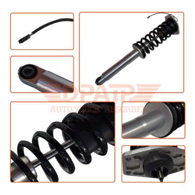 অটো পার্ট 248256 কয়েলওভার কিটস সাসপেনশন স্প্রিং স্ট্রুট পিছনের শক শোষক ইন্ডাকটিভ ড্যাম্পার মাসেরাতি কোয়াট্রোপোর্ট এম139 2007-এর জন্য