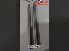 LR093409 LR126176 অটো রিপেয়ার পার্টস রেঞ্জ রোভার ভেলারের জন্য বৈদ্যুতিক রেলগেট স্ট্রট